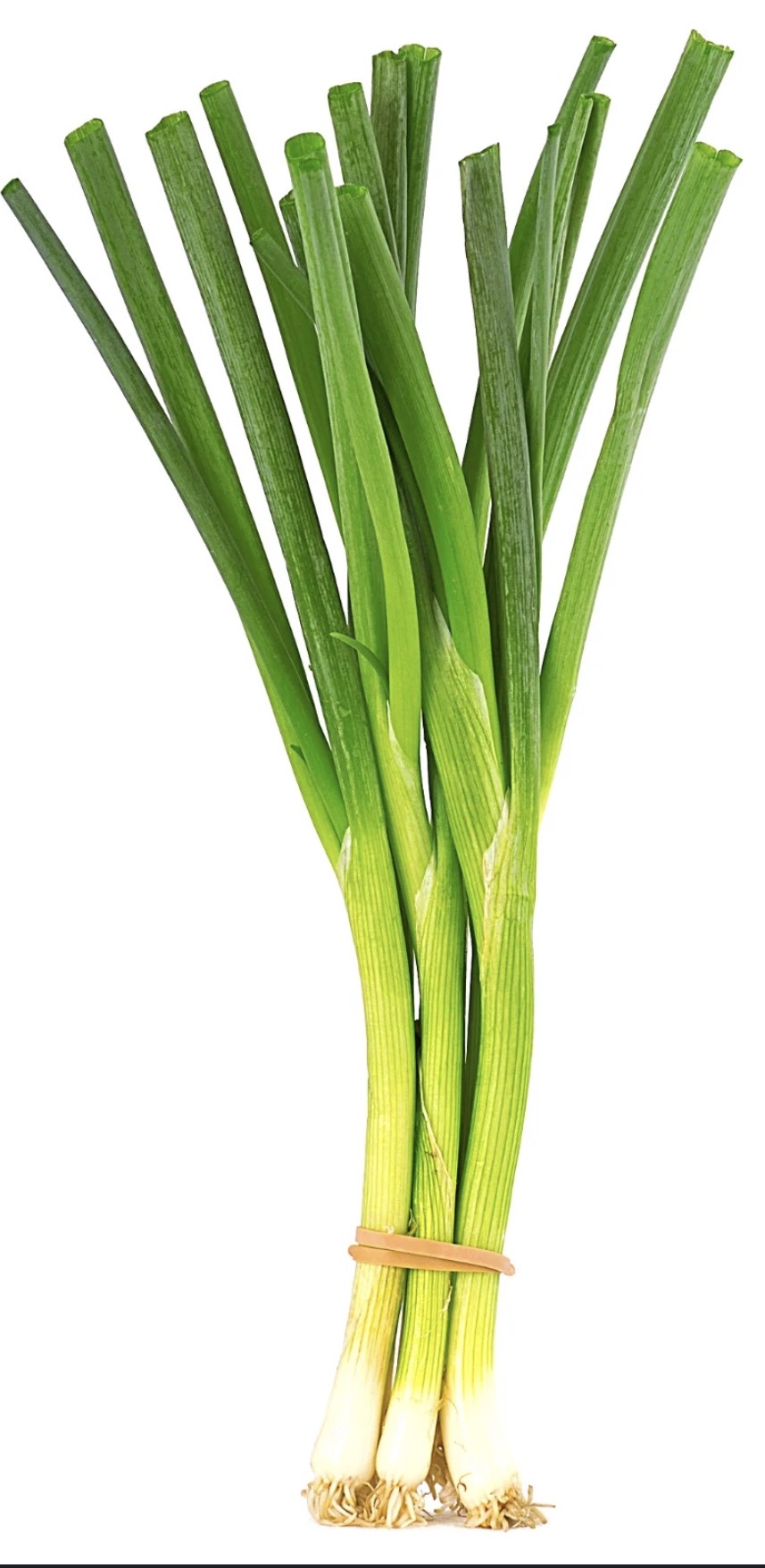 Green Onion 2Lb