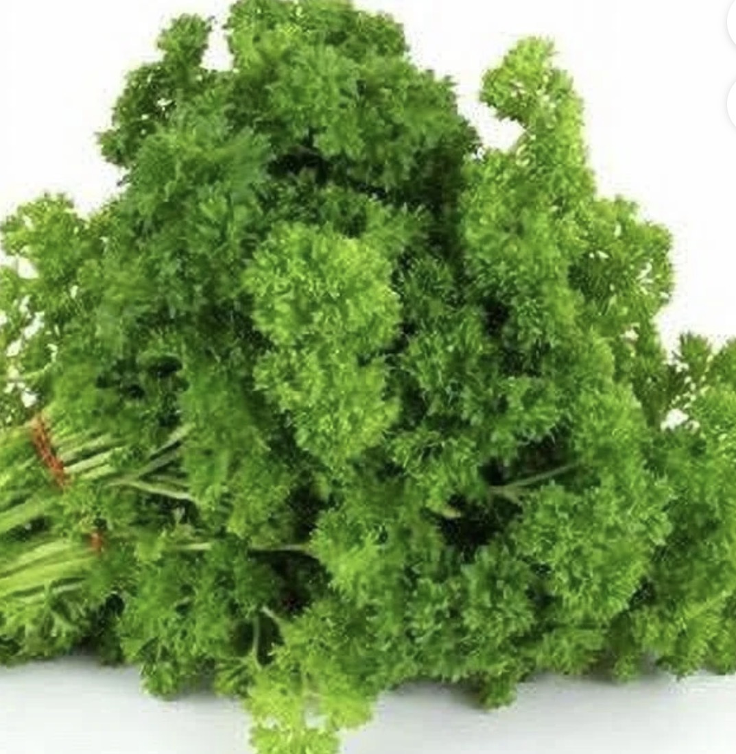 Curly Parsley 6ct