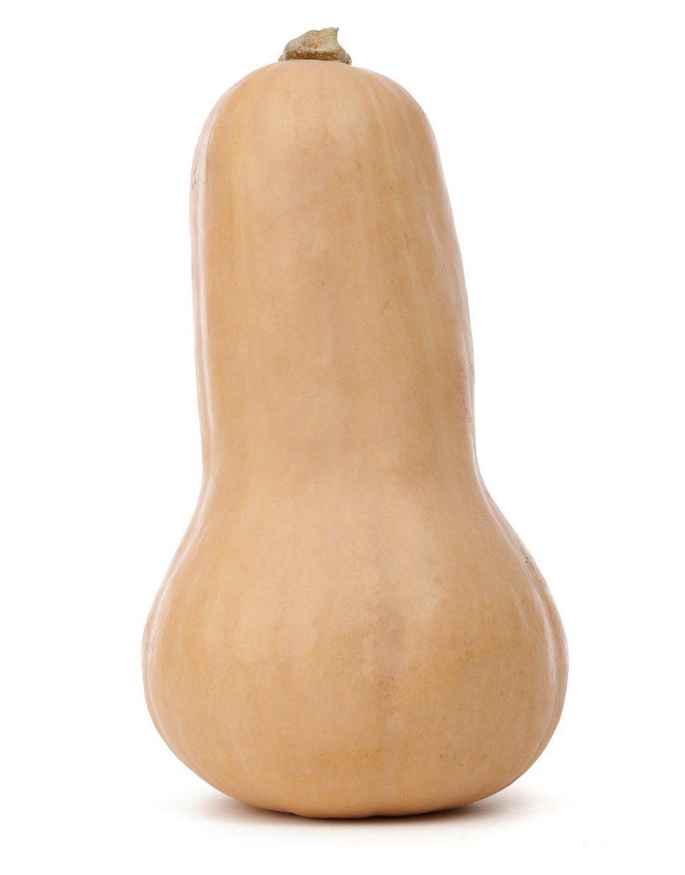 Butternut Squash 5Lb