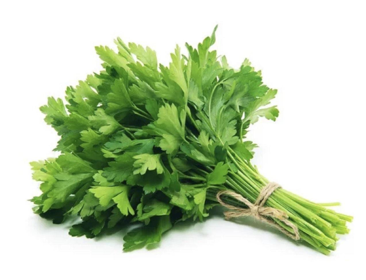 Cilantro 30ct