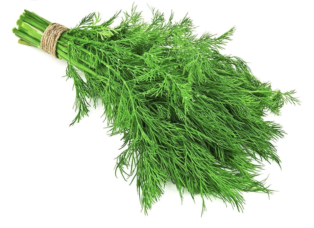 Dill Lb