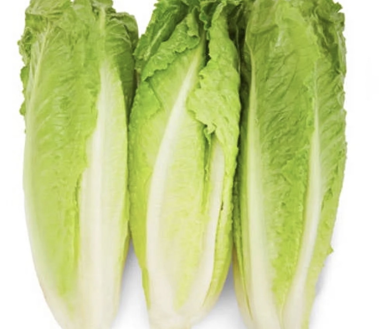 Romaine Hearts 12/3ct