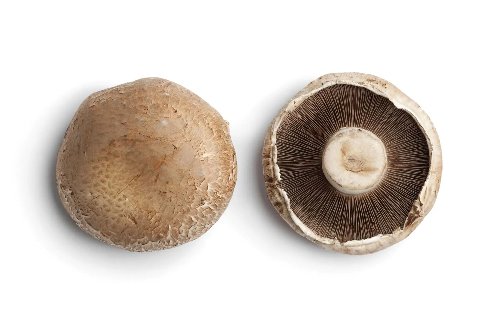 Portobello Mushroom 5Lb