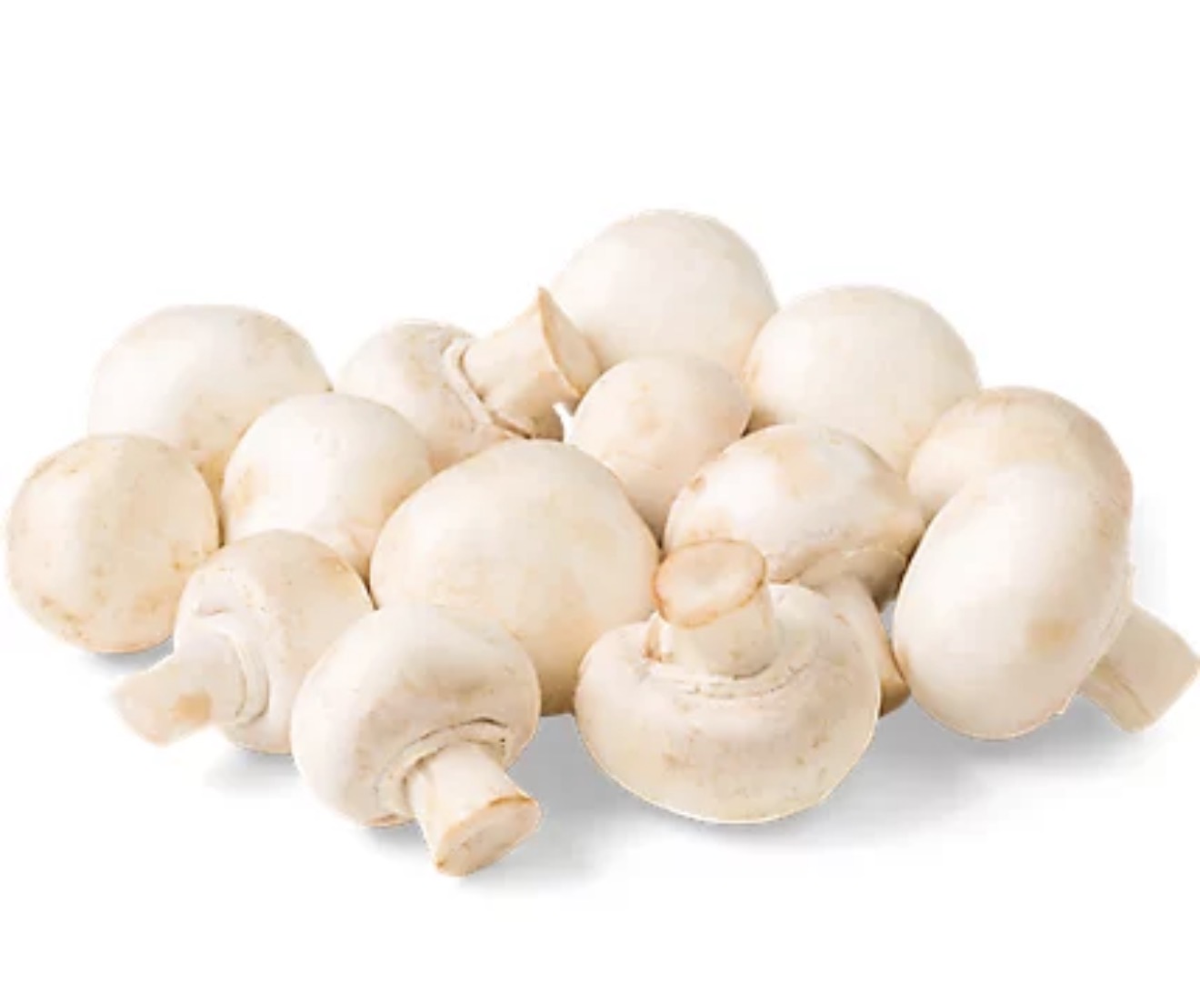 White Mushroom Medium 10Lb