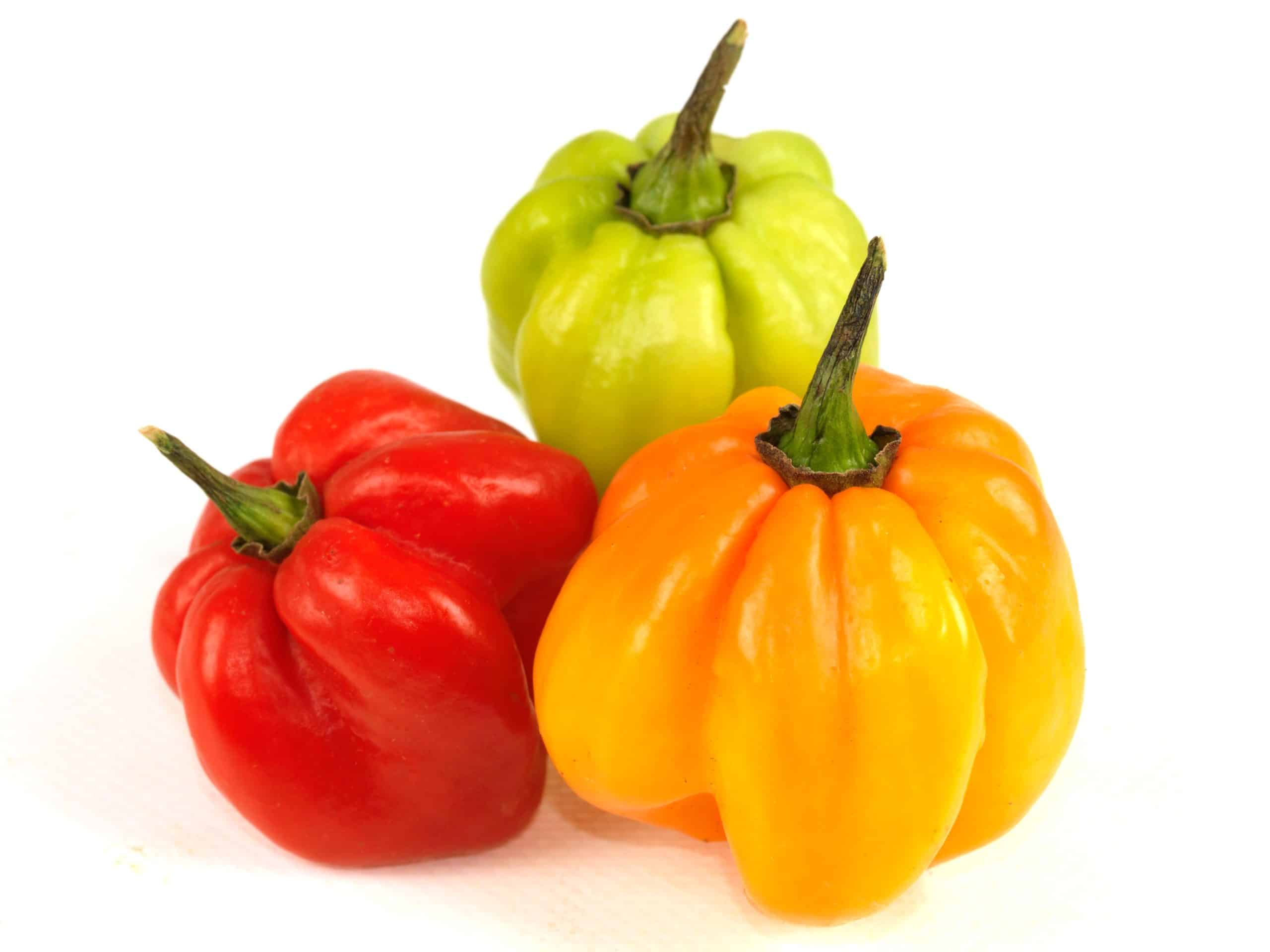 Habanero/Scotch Bonnet Pepper Lb