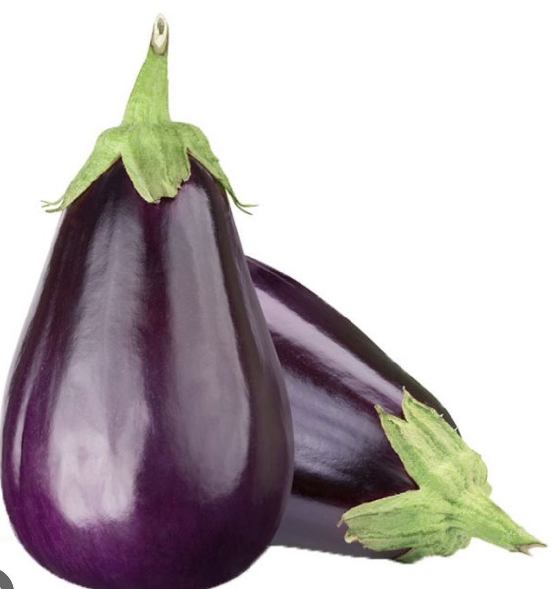 Eggplant 1 1/9 Bushel