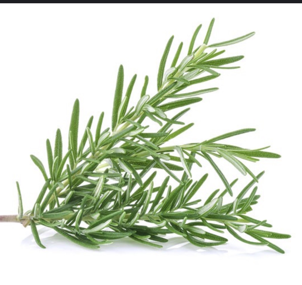 Rosemary Lb