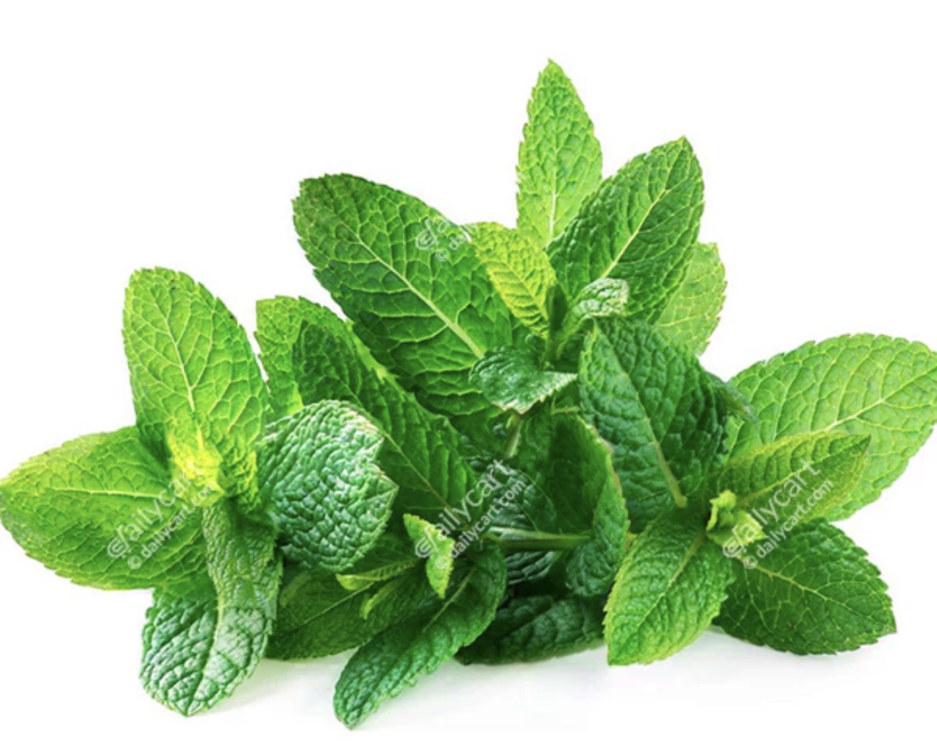 Mint 1/4Lb