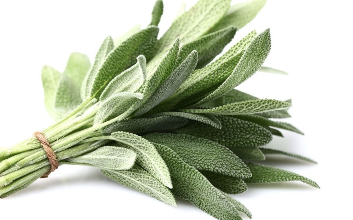 Sage 1/4Lb