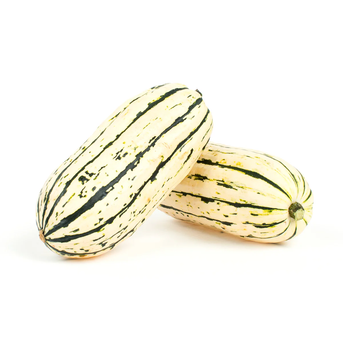 Delicata 1/2Bu