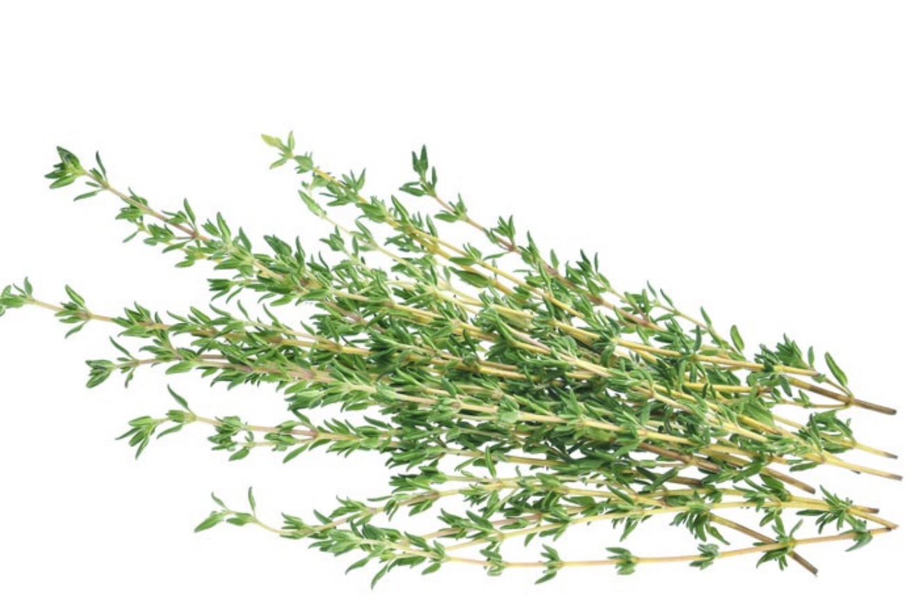 Thyme Lb