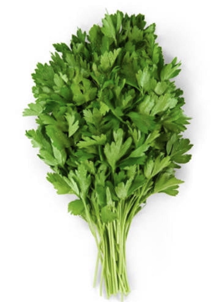 Italian Parsley 6ct