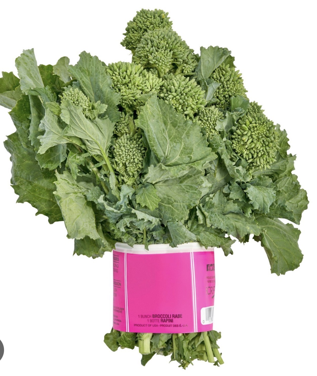 Broccoli Rabe 20ct - Premium