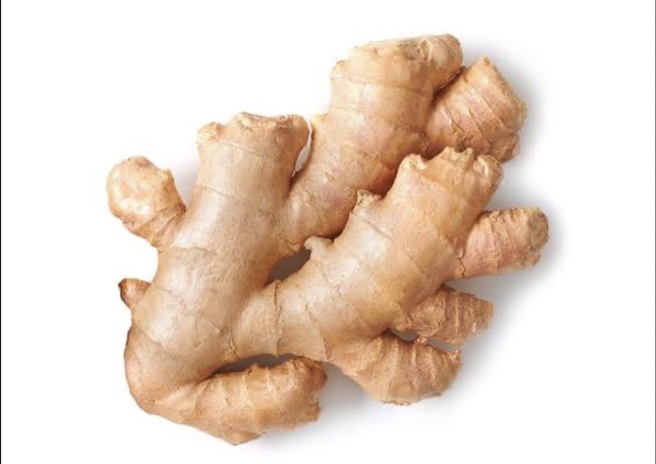 Ginger 4Lb
