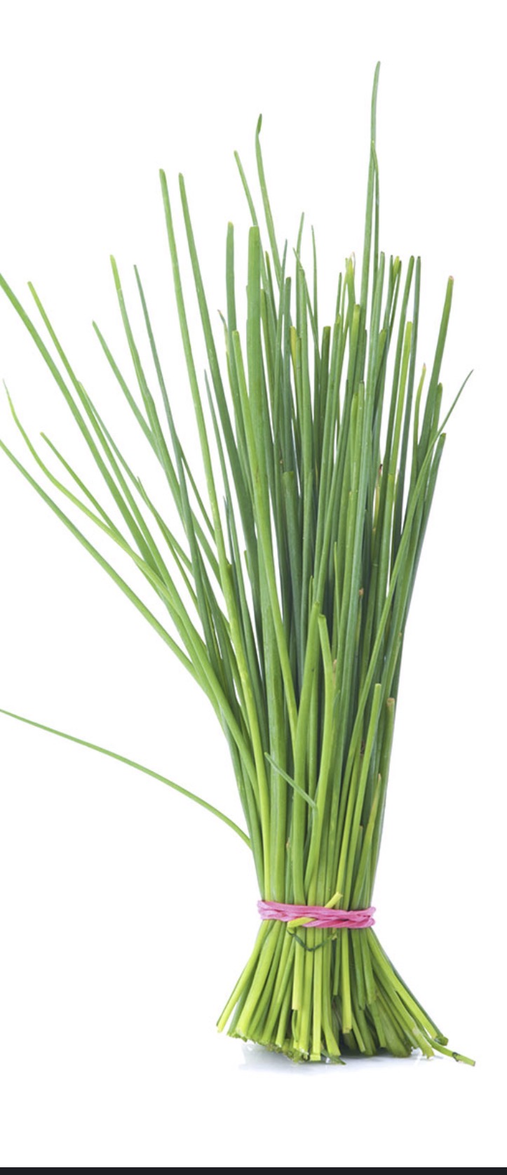 Chives 1/4Lb