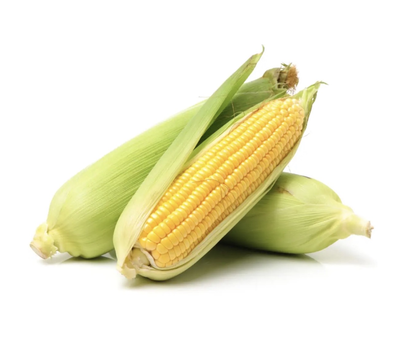 Corn 48ct