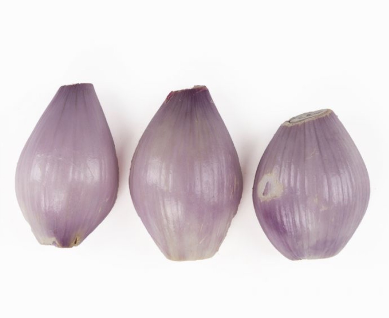 Peeled Shallot 1 Gal